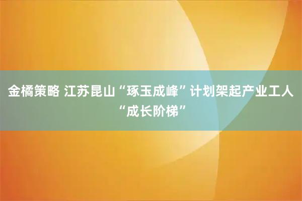 金橘策略 江苏昆山“琢玉成峰”计划架起产业工人“成长阶梯”